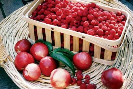 Garden Recipe: Nectarine and Raspberry Streusel Image